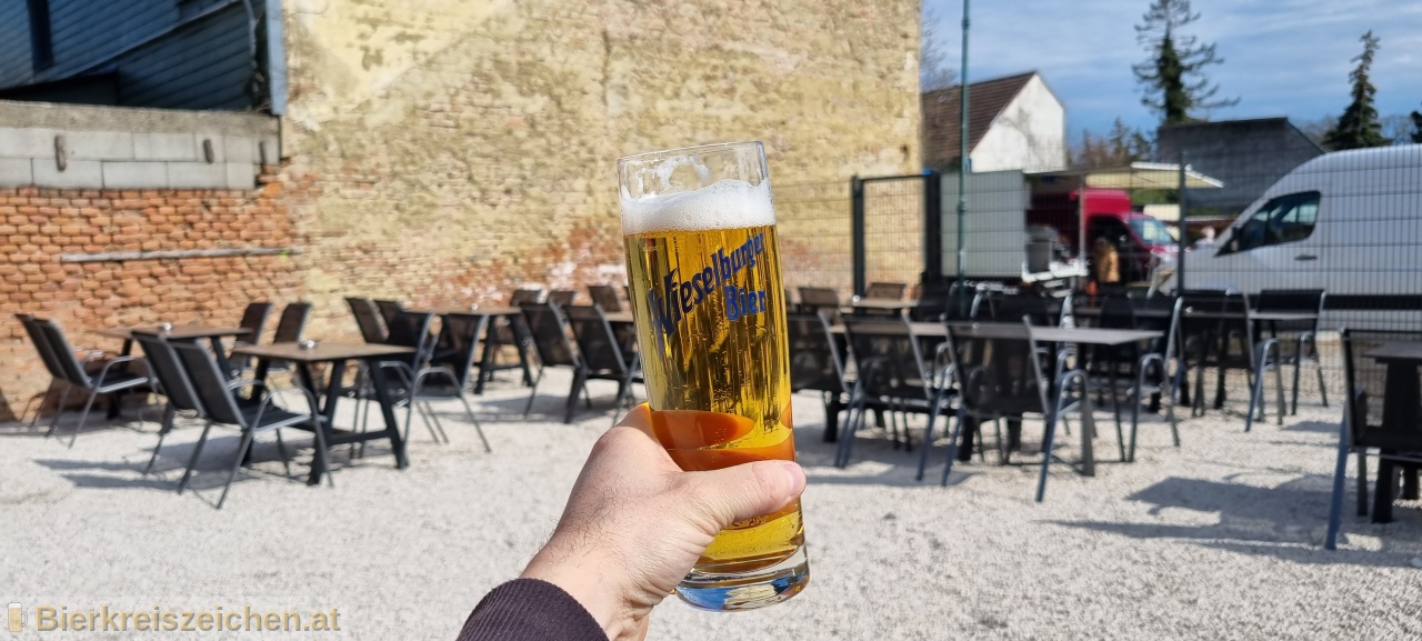 Foto eines Bieres der Marke Wieselburger Gold aus der Brauerei Brauerei Wieselburg