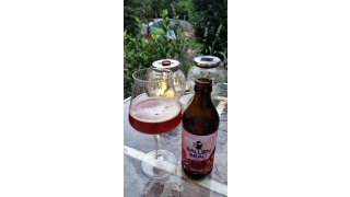 Bild von Gallien Red Ale