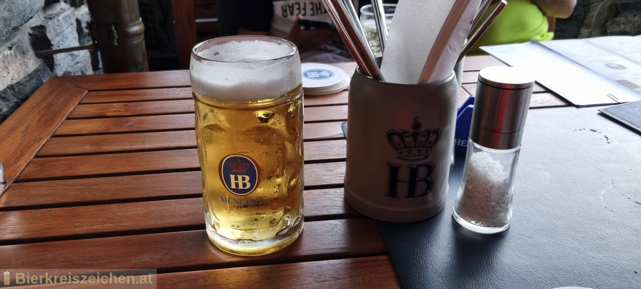 Foto eines Bieres der Marke Hofbräu Original aus der Brauerei Staatliches Hofbräuhaus