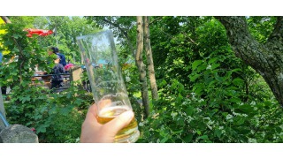 Stiegl Goldbru
