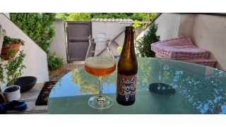 Bild von Der Listige - Helles Rauchbier