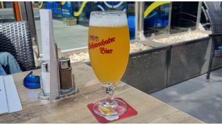 Schwechater Zwickl