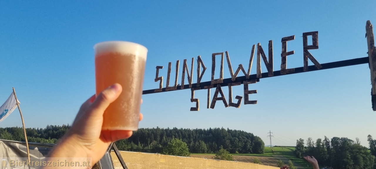 Foto eines Bieres der Marke Free Tree Beer by Max & Malz aus der Brauerei Max und Malz
