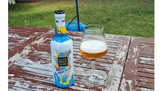 Cotta 40