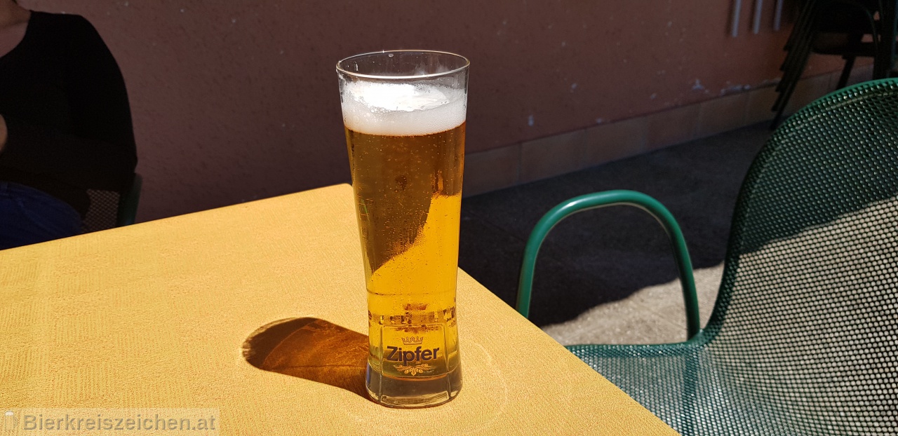 Foto eines Bieres der Marke Zipfer Urtyp aus der Brauerei Brauerei Zipf