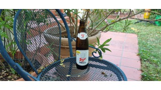 Bild von Stiegl Hell