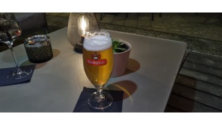 Reininghaus Jahrgangs Pils 2025