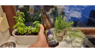 Der Kobold - Gr�nhopfen IPA