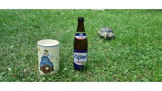 Bild von Zipfer Urtyp