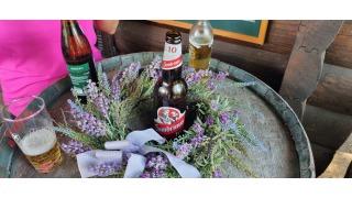 V�čepn� pivo Gambrinus Origin�l 10˚