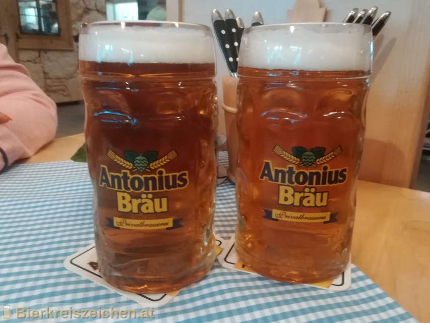 Foto eines Bieres der Marke Antonius Helles aus der Brauerei Antonius Bru
