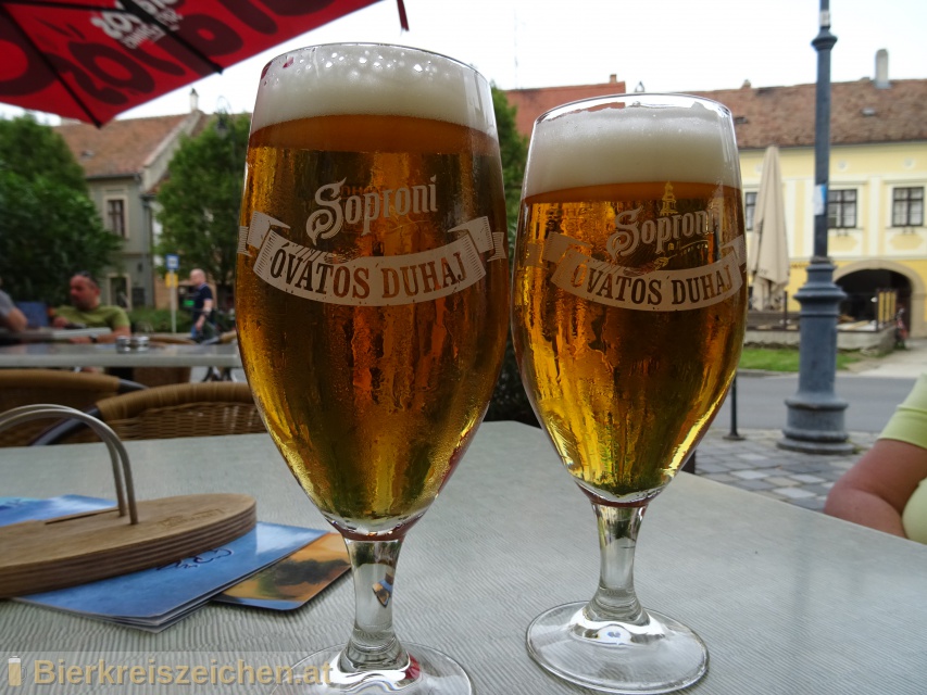 Foto eines Bieres der Marke Soproni aus der Brauerei Heineken Hungária Sörgyárak Zrt.
