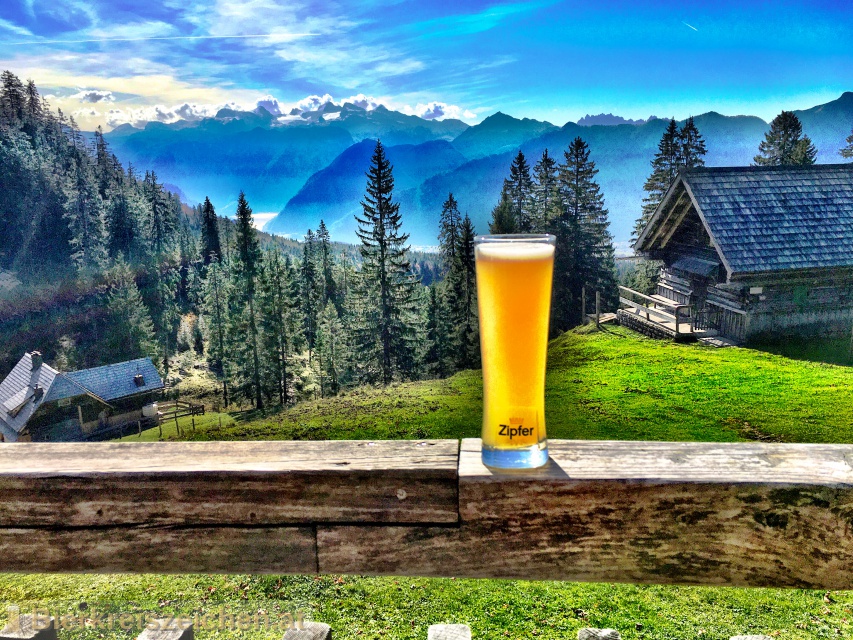 Foto eines Bieres der Marke Zipfer Radler aus der Brauerei Brauerei Zipf