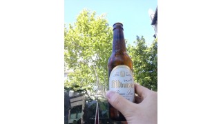 Bild von Bitburger Premium Pils