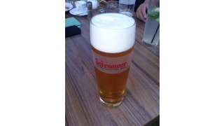 Schremser Pils