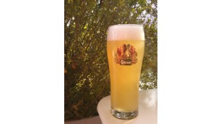 Bild von Gsser NaturRadler