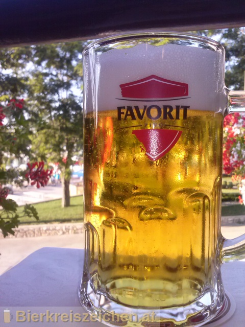 Foto eines Bieres der Marke Favorit Pivo aus der Brauerei Istarska Pivovara