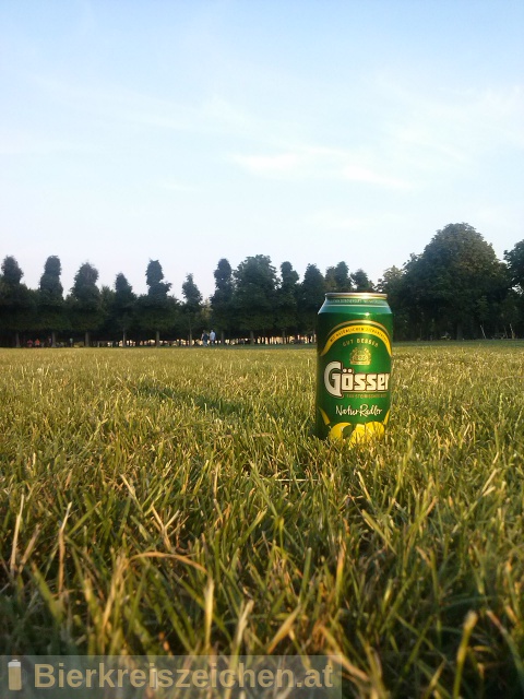 Foto eines Bieres der Marke Gsser NaturRadler aus der Brauerei Brauerei Gss