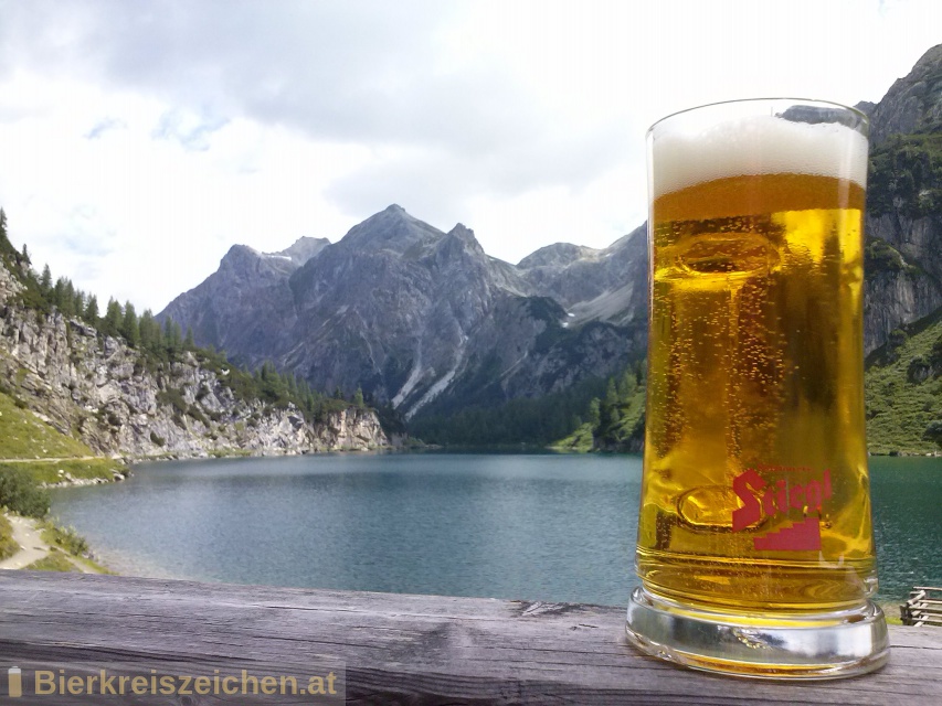 Foto eines Bieres der Marke Stiegl Goldbru aus der Brauerei Stieglbrauerei