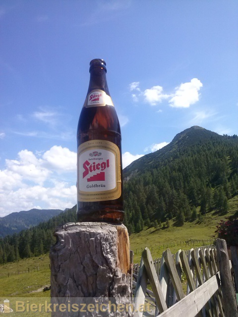 Foto eines Bieres der Marke Stiegl Goldbru aus der Brauerei Stieglbrauerei