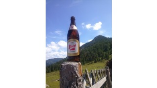 Bild von Stiegl Goldbru