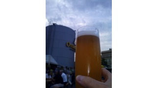 Sali-Weizen