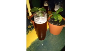 Bild von Bierzauberei California IPA