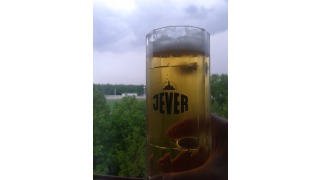 Jever Pilsener