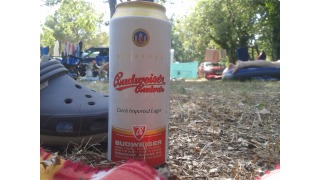 Bild von Budweiser Original