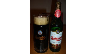 Bild von Imported Dark Lager