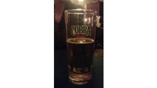 Bild von Cobra Premium Beer