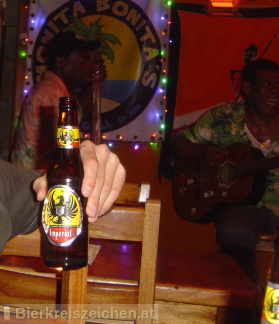 Foto eines Bieres der Marke Imperial aus der Brauerei Cerveceria Costa Rica