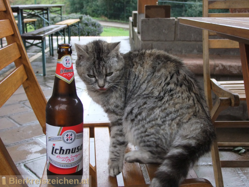 Foto eines Bieres der Marke Birra Ichnusa aus der Brauerei Birra Ichnusa