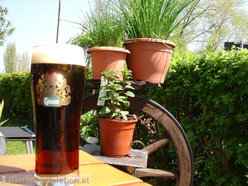 Foto eines Bieres der Marke Gsser Stiftsbru aus der Brauerei Brauerei Gss