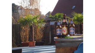 Bild von Puntigamer - das bierige Bier