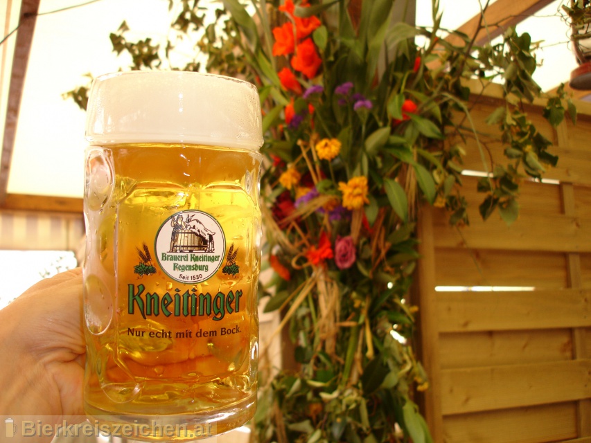 Foto eines Bieres der Marke Kneitinger aus der Brauerei Brauerei Kneitinger Regensburg