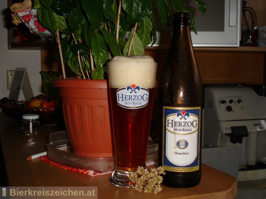 Foto eines Bieres der Marke Herzog Hausbier aus der Brauerei Herzog Hofbräu