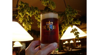 Hofbru Dunkel