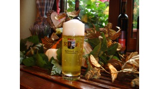 Hofbru 1612er Zwicklbier