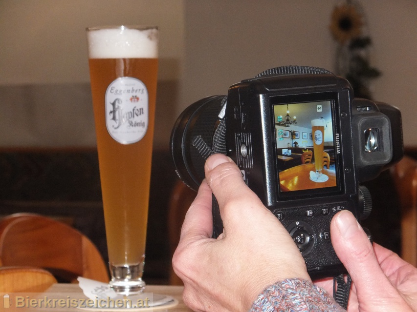 Foto eines Bieres der Marke Hopfenkönig aus der Brauerei Schloss Eggenberg