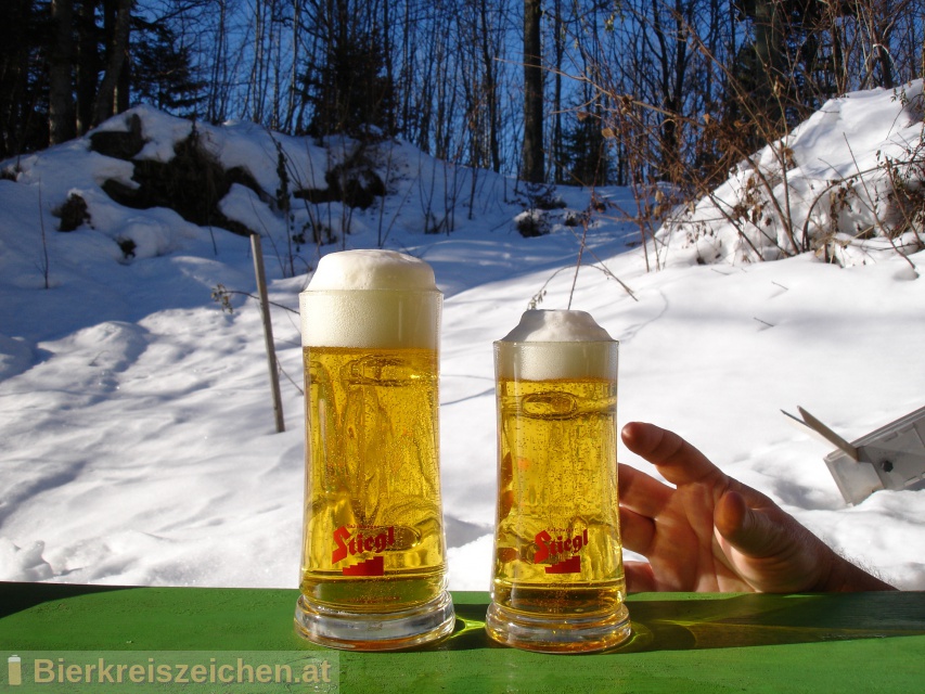 Foto eines Bieres der Marke Stiegl Goldbru aus der Brauerei Stieglbrauerei