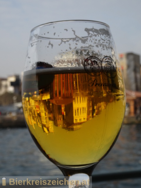 Foto eines Bieres der Marke Efes Pilsner aus der Brauerei Anadolu Efes