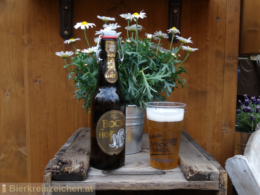Foto eines Bieres der Marke Bock am Hof aus der Brauerei Speck Standl Bräu