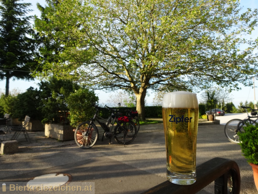 Foto eines Bieres der Marke Zipfer Märzen aus der Brauerei Brauerei Zipf