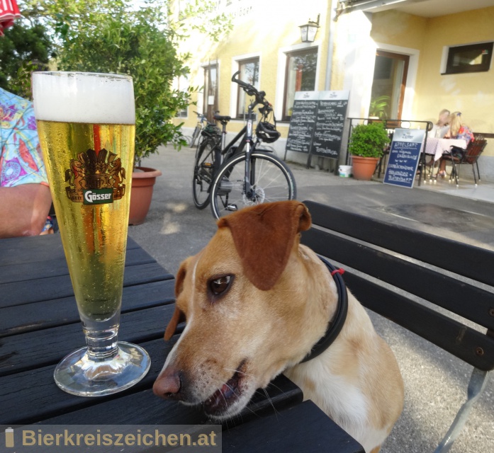 Foto eines Bieres der Marke Zipfer Mrzen aus der Brauerei Brauerei Zipf