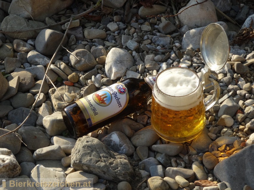 Foto eines Bieres der Marke Hacker Pschorr Münchner Hell aus der Brauerei Hacker-Pschorr