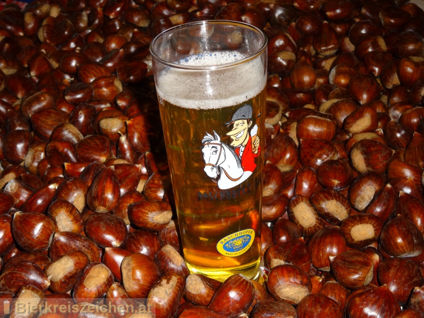 Foto eines Bieres der Marke Raschhofer Märzen aus der Brauerei Brauerei Raschhofer