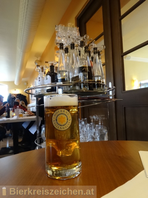 Foto eines Bieres der Marke Kaltenhauser Original aus der Brauerei Hofbräu Kaltenhausen
