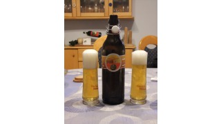 7Stern Wiener Helles