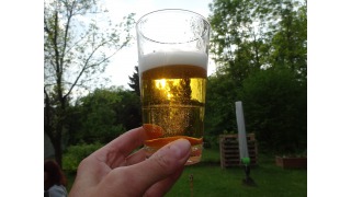 Bild von Stiegl Goldbru